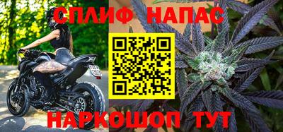 прущие грибы Лесосибирск