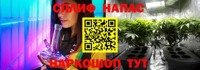 прущие грибы Лесосибирск
