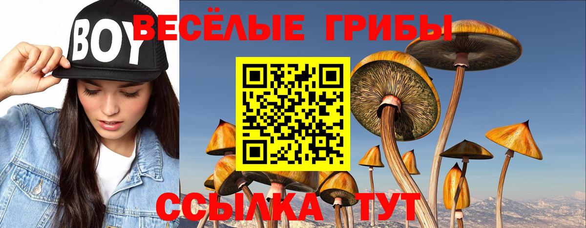 Галлюциногенные грибы MAGIC MUSHROOMS Волгодонск